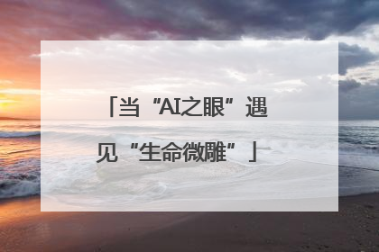 当“AI之眼”遇见“生命微雕”