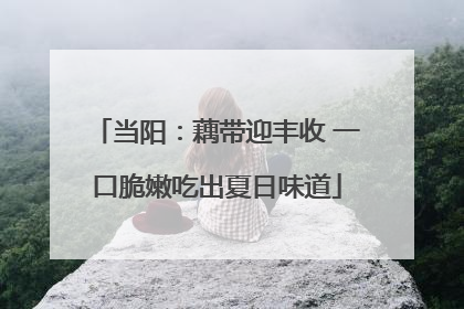 当阳：藕带迎丰收 一口脆嫩吃出夏日味道