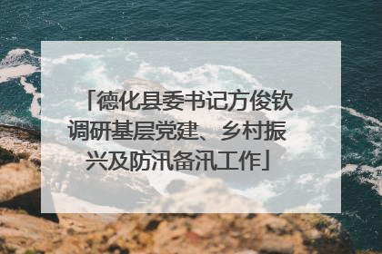 德化县委书记方俊钦调研基层党建、乡村振兴及防汛备汛工作