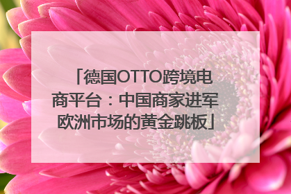 德国OTTO跨境电商平台：中国商家进军欧洲市场的黄金跳板