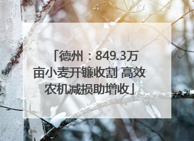 德州：849.3万亩小麦开镰收割 高效农机减损助增收