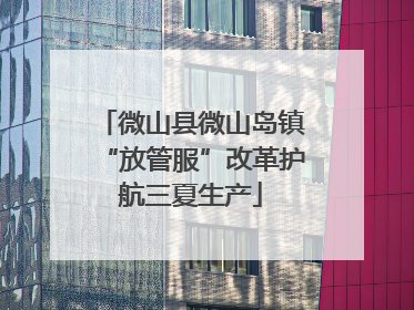 微山县微山岛镇“放管服”改革护航三夏生产
