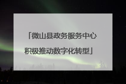微山县政务服务中心积极推动数字化转型