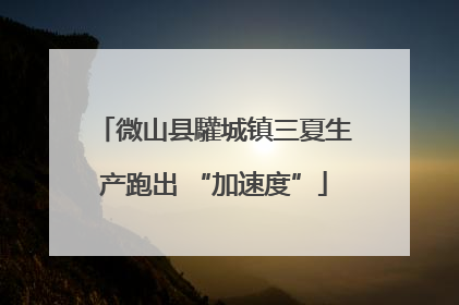 微山县驩城镇三夏生产跑出 “加速度”