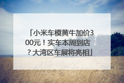 小米车模黄牛加价300元！实车本周到店？大湾区车展将亮相