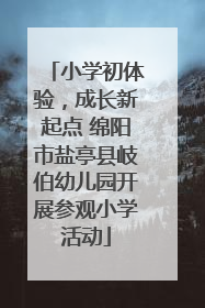 小学初体验，成长新起点 绵阳市盐亭县岐伯幼儿园开展参观小学活动