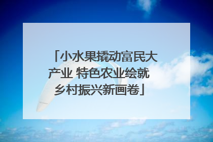 小水果撬动富民大产业 特色农业绘就乡村振兴新画卷