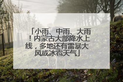 小雨、中雨、大雨！内蒙古大部降水上线，多地还有雷暴大风或冰雹天气