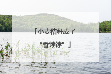 小麦秸秆成了“香饽饽”