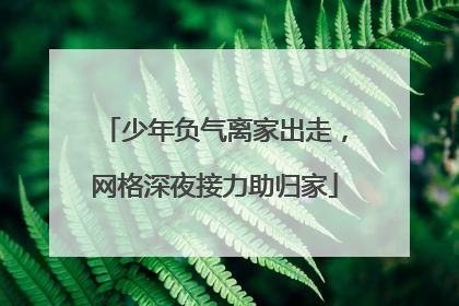 少年负气离家出走，网格深夜接力助归家