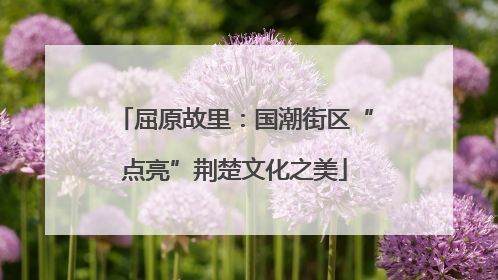 屈原故里：国潮街区“点亮”荆楚文化之美