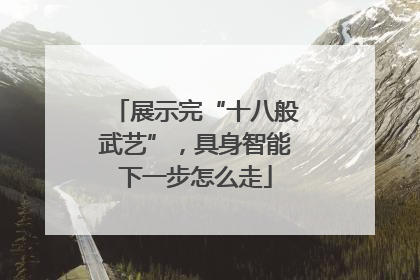 展示完“十八般武艺”，具身智能下一步怎么走