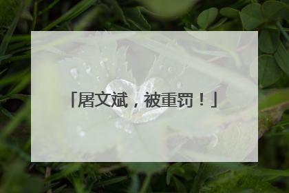 屠文斌，被重罚！