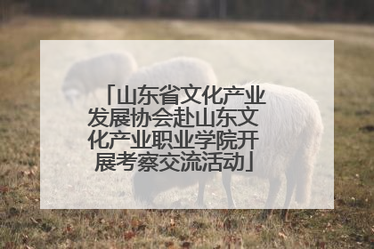 山东省文化产业发展协会赴山东文化产业职业学院开展考察交流活动