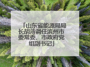 山东省能源局局长胡薄调任滨州市委常委、市政府党组副书记