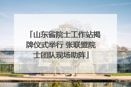 山东省院士工作站揭牌仪式举行 张联盟院士团队现场助阵
