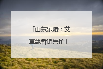 山东乐陵：艾草飘香销售忙