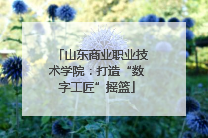 山东商业职业技术学院：打造“数字工匠”摇篮