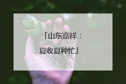 山东嘉祥：夏收夏种忙