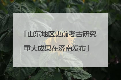 山东地区史前考古研究重大成果在济南发布