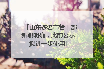 山东多名市管干部新职明确，此前公示拟进一步使用
