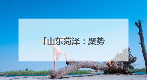山东菏泽：聚势赋能谋发展 协同支农谱新篇