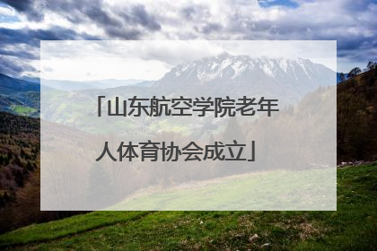 山东航空学院老年人体育协会成立