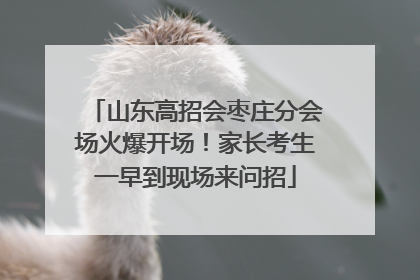 山东高招会枣庄分会场火爆开场！家长考生一早到现场来问招