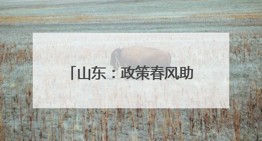 山东：政策春风助求职者 从“稳岗”迈向“创业”
