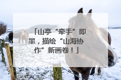 山亭“牵手”即墨，描绘“山海协作”新画卷！