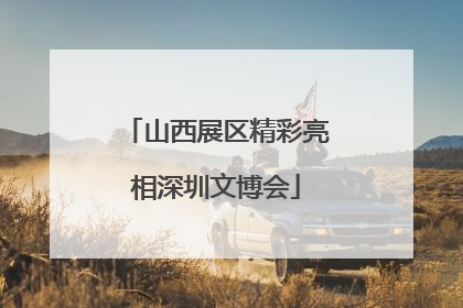 山西展区精彩亮相深圳文博会