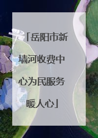 岳阳市新墙河收费中心为民服务暖人心