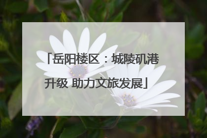 岳阳楼区：城陵矶港升级 助力文旅发展