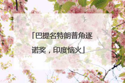 巴提名特朗普角逐诺奖，印度恼火