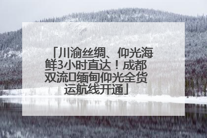 川渝丝绸、仰光海鲜3小时直达！成都双流⇌缅甸仰光全货运航线开通
