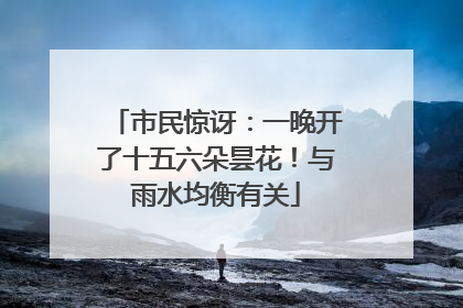 市民惊讶：一晚开了十五六朵昙花！与雨水均衡有关