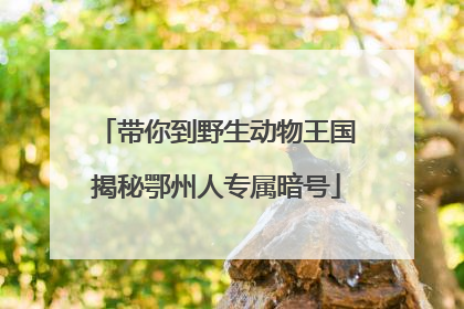 带你到野生动物王国揭秘鄂州人专属暗号