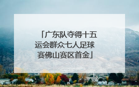 广东队夺得十五运会群众七人足球赛佛山赛区首金