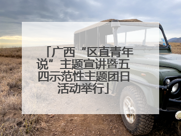 广西“区直青年说”主题宣讲暨五四示范性主题团日活动举行