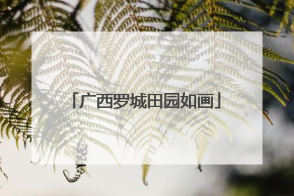 广西罗城田园如画