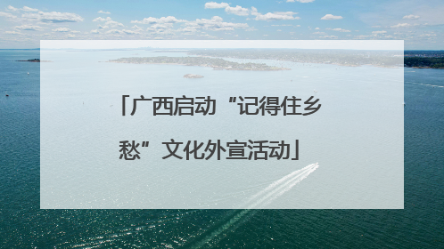广西启动“记得住乡愁”文化外宣活动