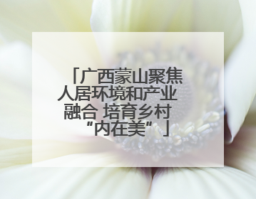 广西蒙山聚焦人居环境和产业融合 培育乡村“内在美”