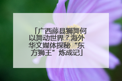 广西藤县狮舞何以舞动世界？海外华文媒体探秘“东方狮王”炼成记