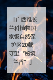 广西雅长兰科植物国家级自然保护区20载守望“秘境兰香”