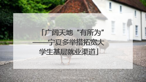 广阔天地“有所为”——宁夏多举措拓宽大学生基层就业渠道