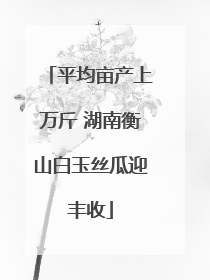 平均亩产上万斤 湖南衡山白玉丝瓜迎丰收