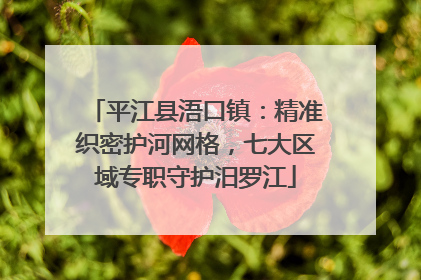 平江县浯口镇：精准织密护河网格，七大区域专职守护汨罗江