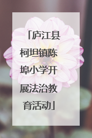 庐江县柯坦镇陈埠小学开展法治教育活动