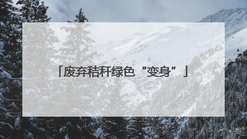 废弃秸秆绿色“变身”