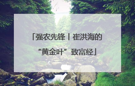 强农先锋丨崔洪海的“黄金叶”致富经